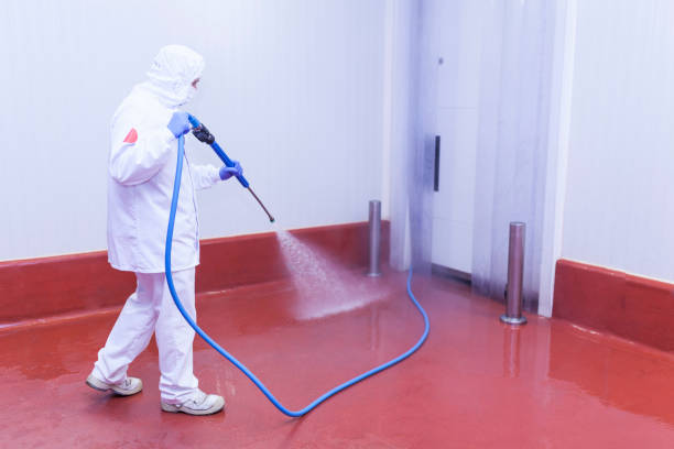 Best Solar Panel Cleaning  in Lynchburg, OH